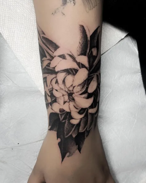 菊
