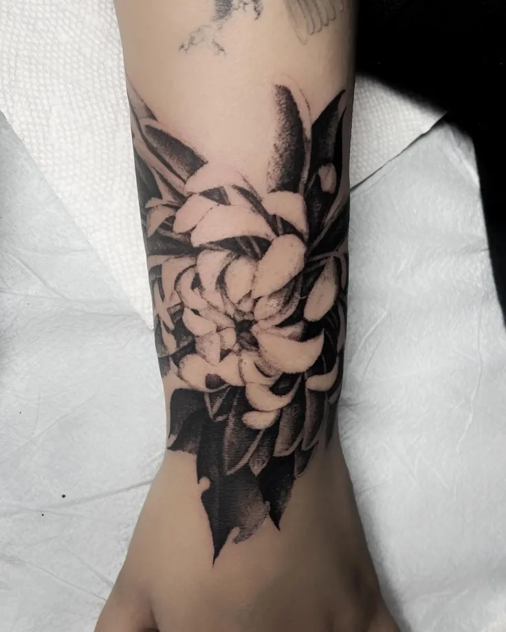 菊