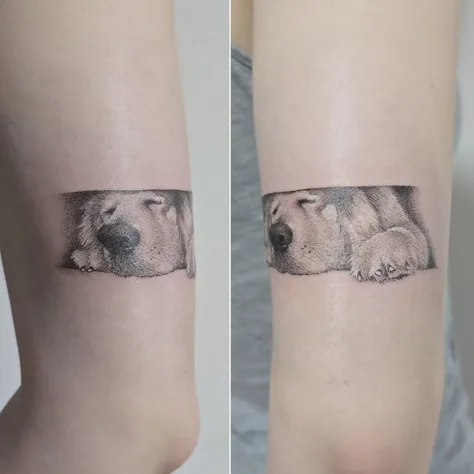 眠る犬のタトゥー