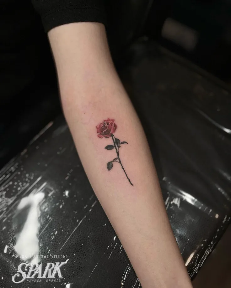 薔薇の植栽