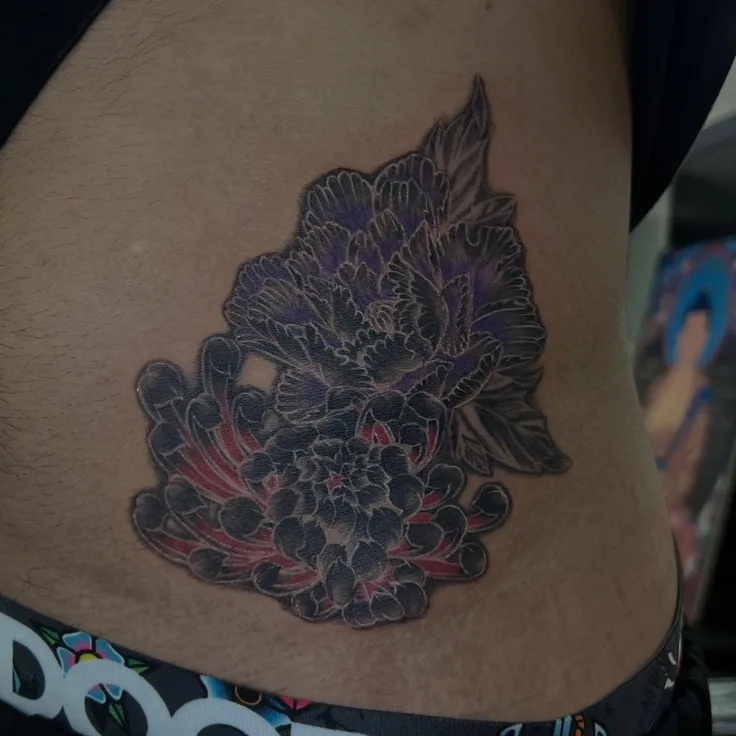 菊牡丹
