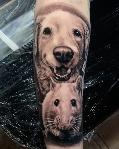 犬と鼠