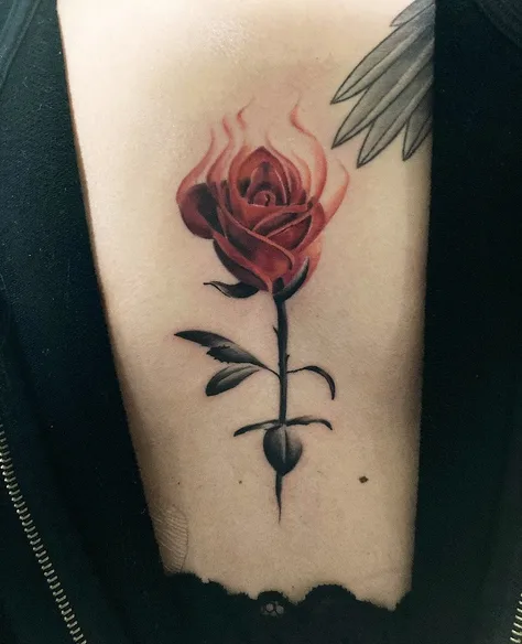 薔薇