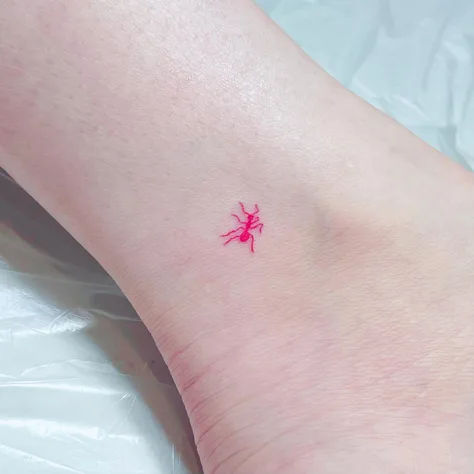 小さな蟻