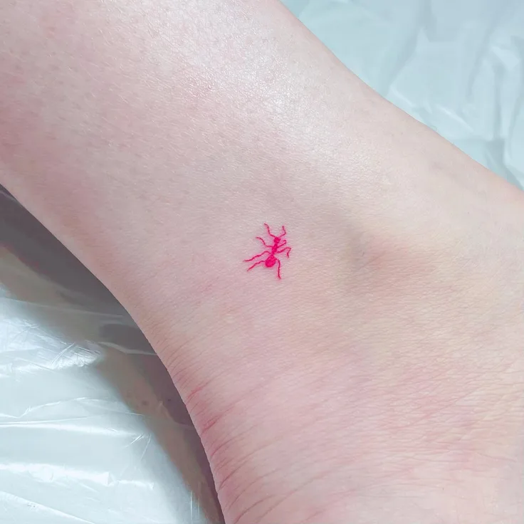 小さな蟻