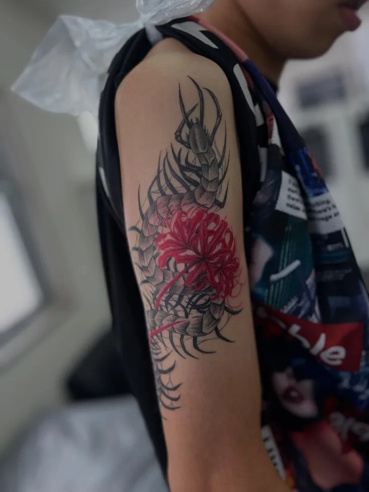 百足と彼岸花
