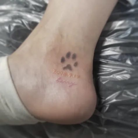 犬の足あと