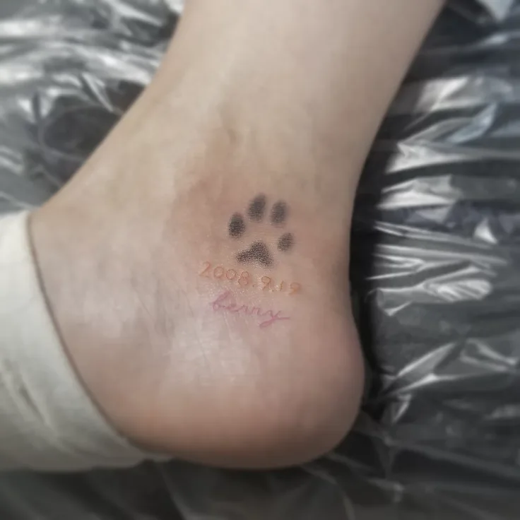 犬の足あと