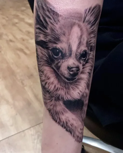 愛犬
