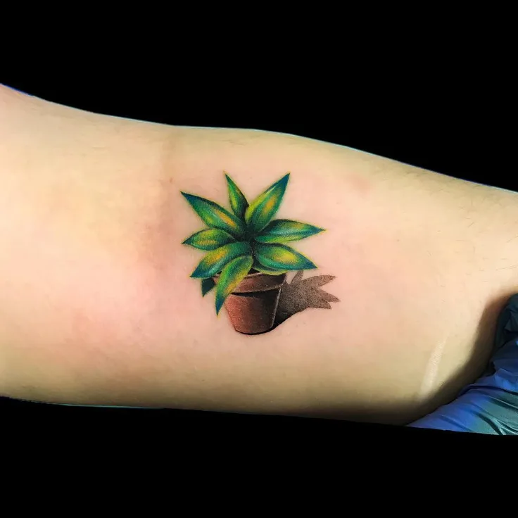 植物のカバーアップ
