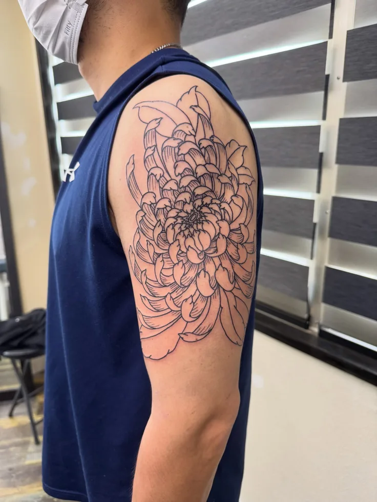 菊