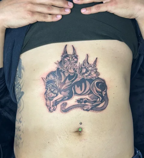 犬と蛇