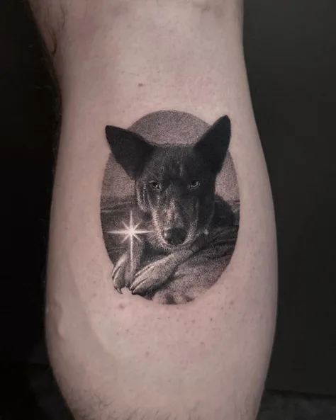 星と犬