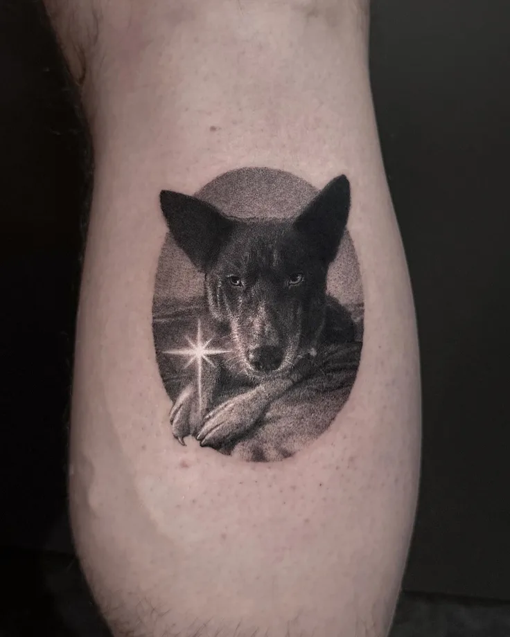 星と犬