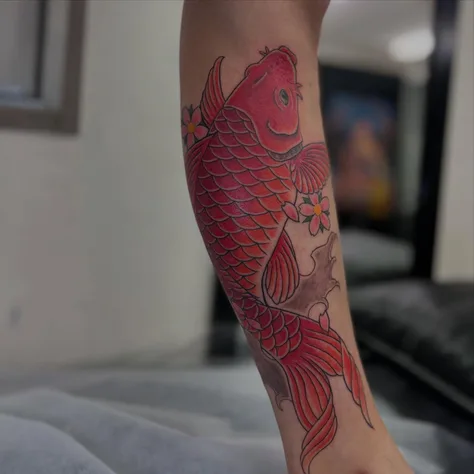 鯉