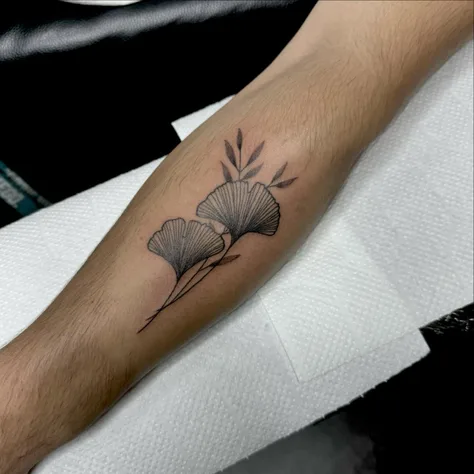 植物のワンポイント