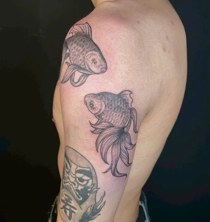 金魚のブラックグレー