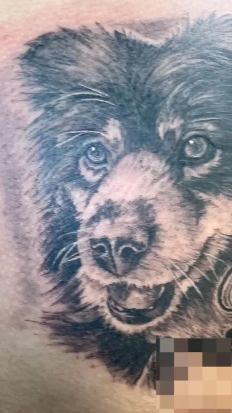 愛犬