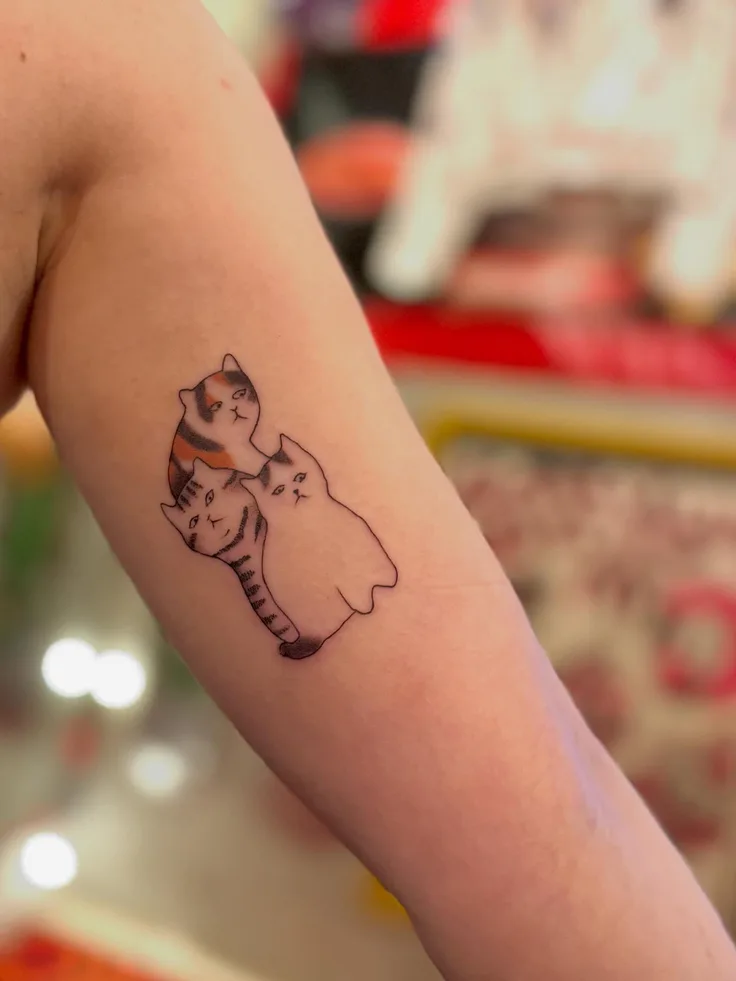 猫