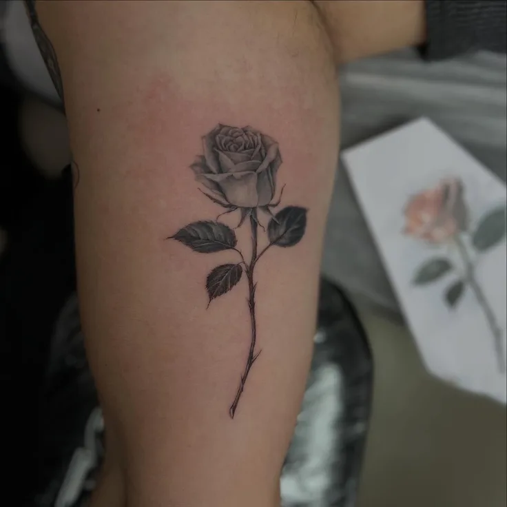 薔薇