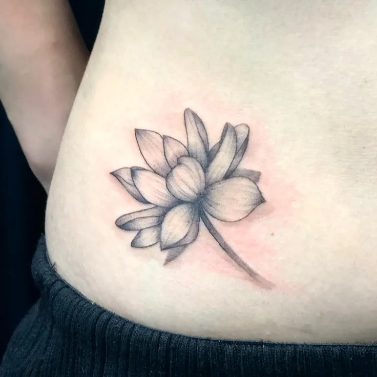 蓮の花
