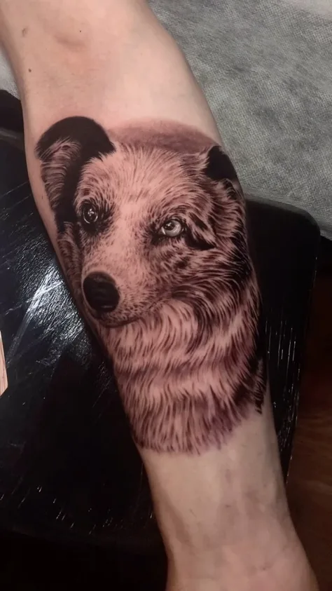 愛犬の毛並み