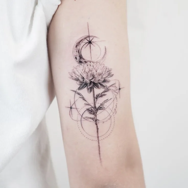白い菊