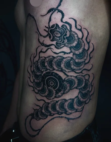 蠍