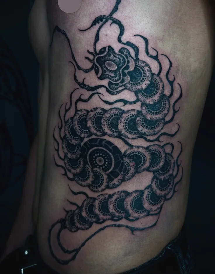 蠍