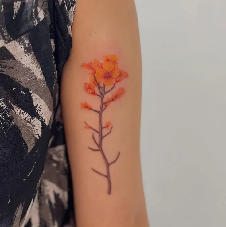 カラーの菜の花