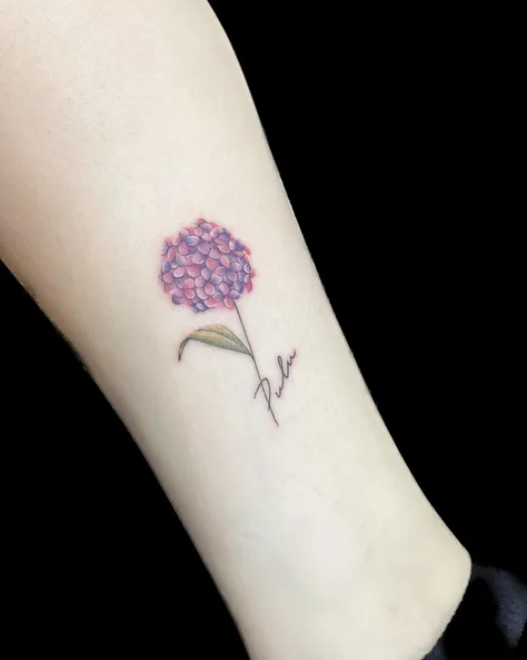 紫陽花とレタリング