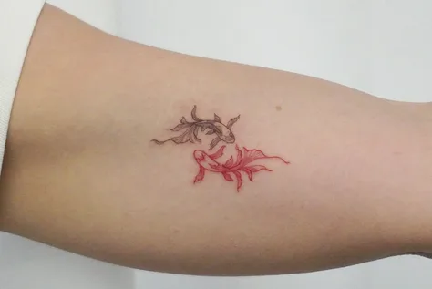 金魚