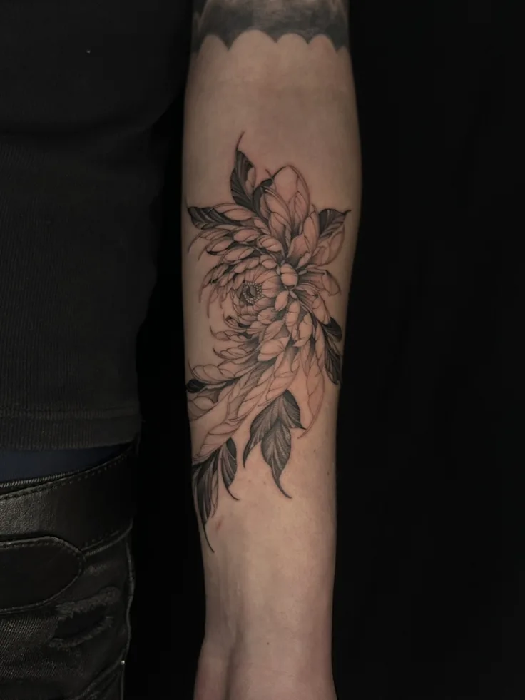 菊の花