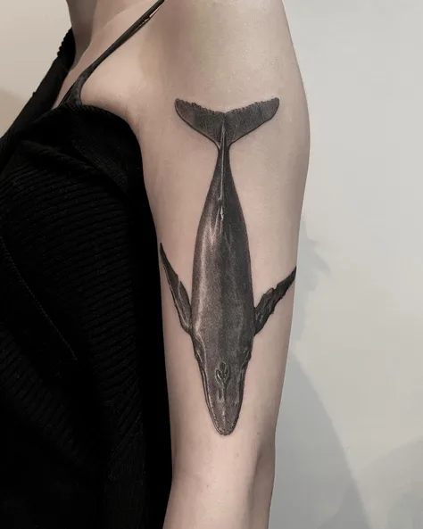 クジラ