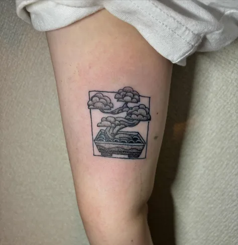 盆栽