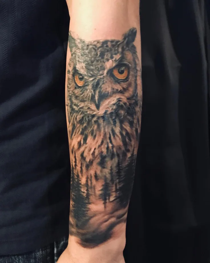 フクロウのカバーアップ