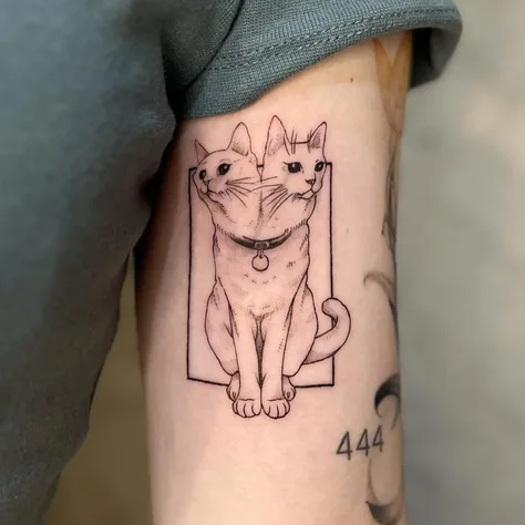 猫のファインライン