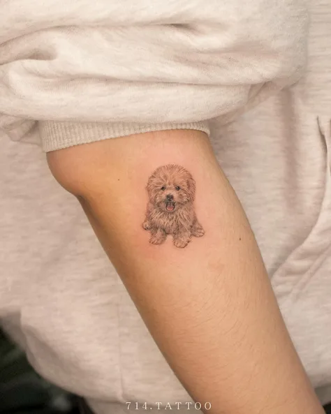 犬の顔のタッチアップ