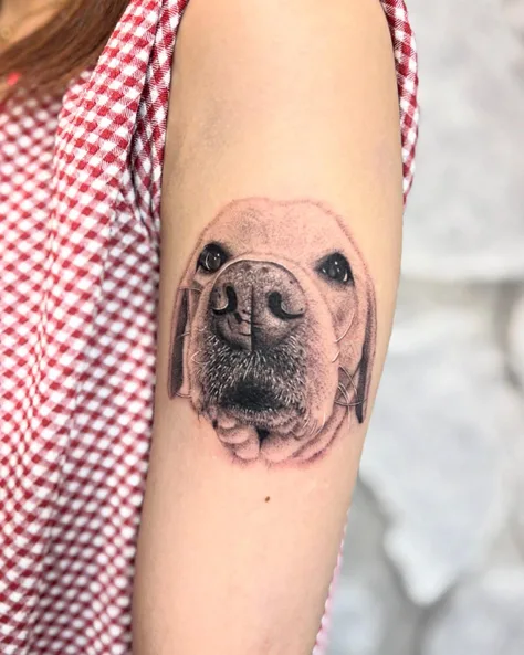 愛犬のリアル