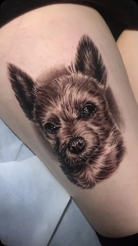 愛犬