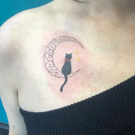 猫と月