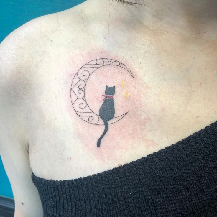 猫と月