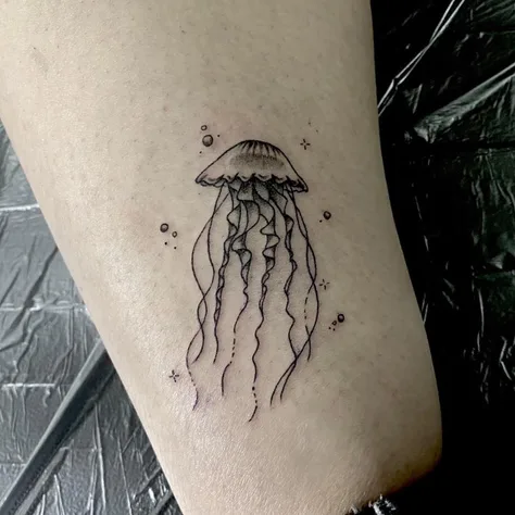 クラゲ