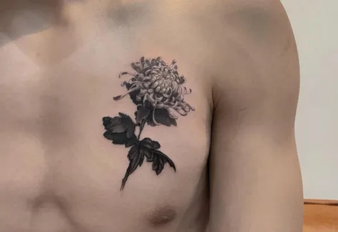 菊
