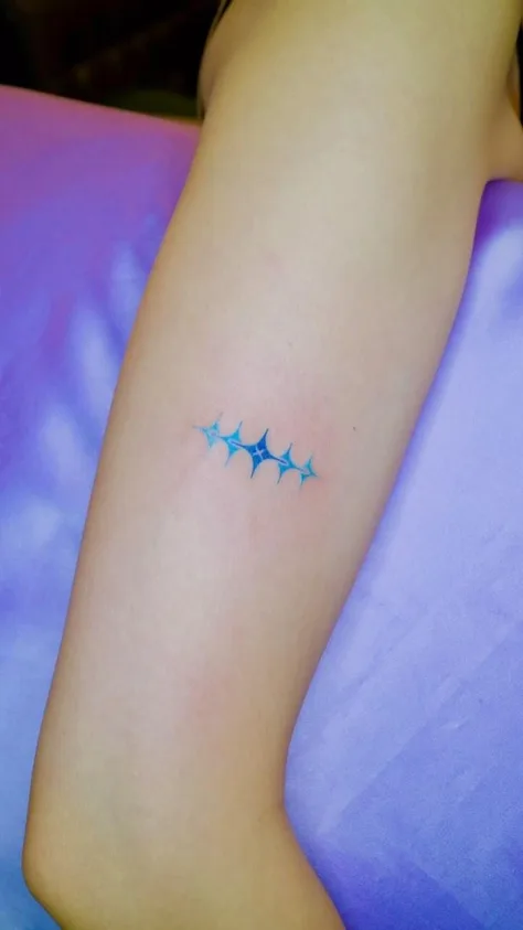 조조의 컬러 오너먼트 🎨🎨🎨💖
