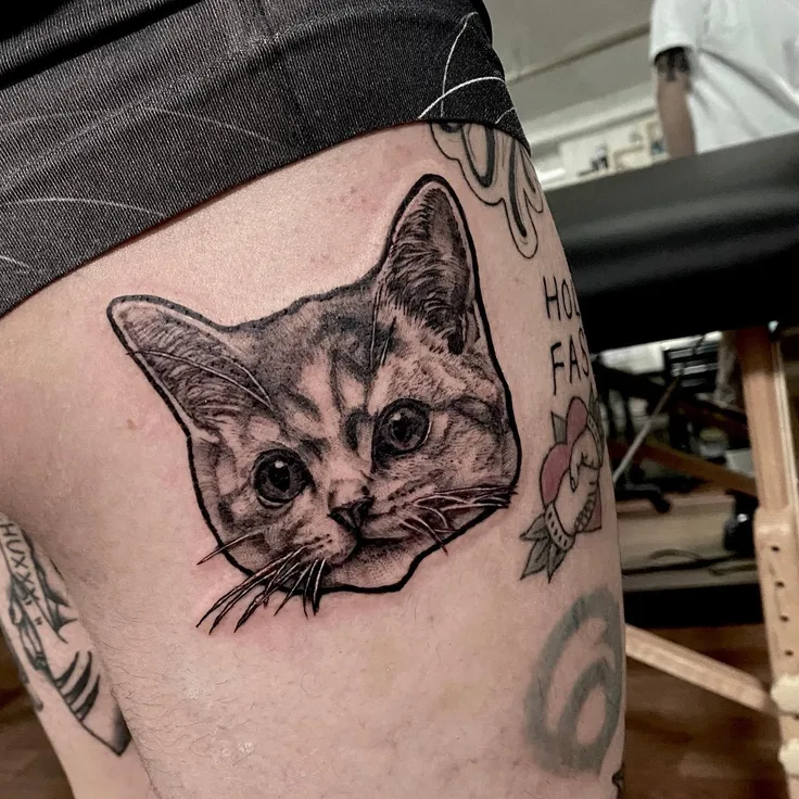 猫のポートレート