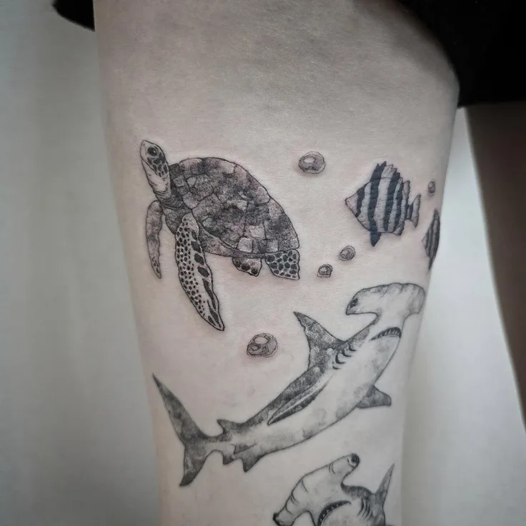ウミガメと魚