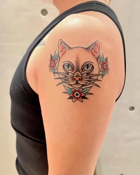 猫