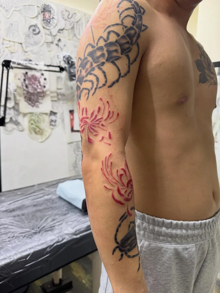 赤が入った作品